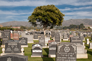 cemeteries owned and managed
